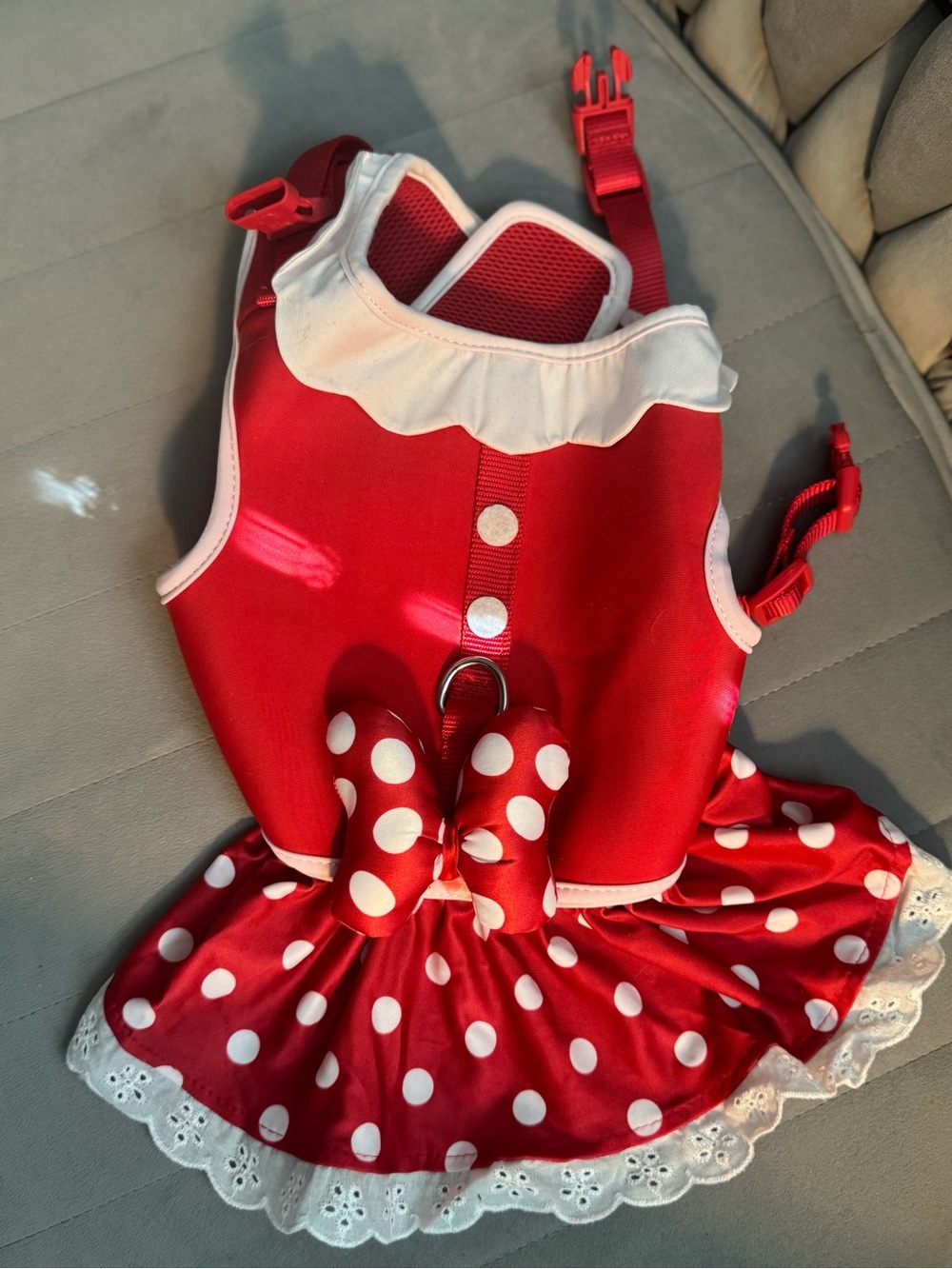 Red Polka Dot Minnie dog harness